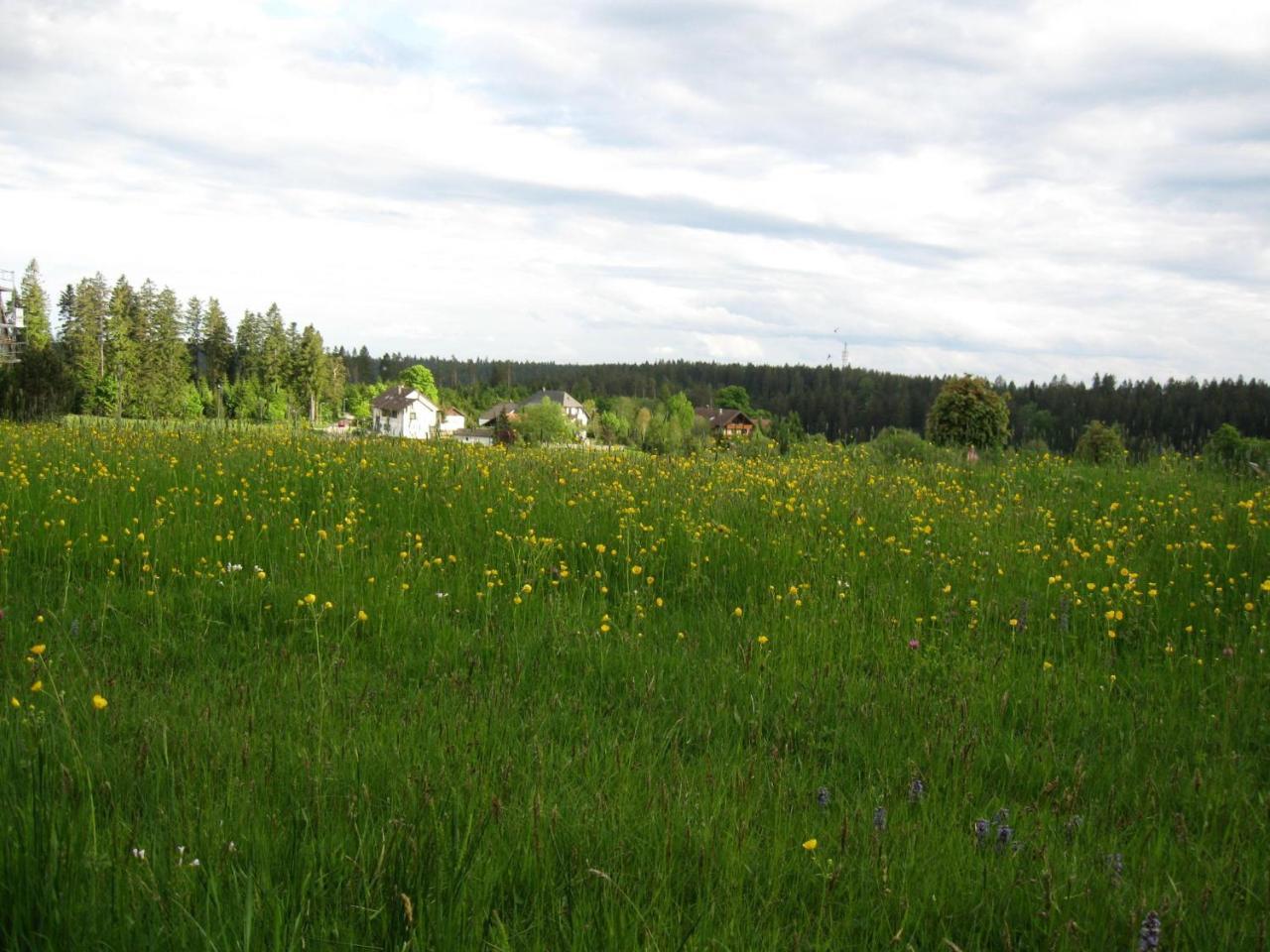 Haus Schoenblick Kniebis Exteriör bild